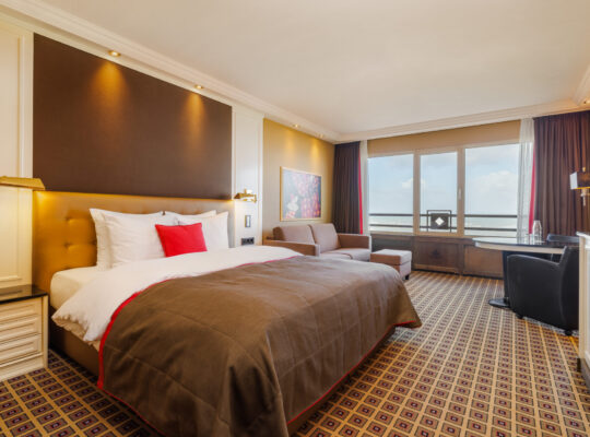 Charming Large Kamer