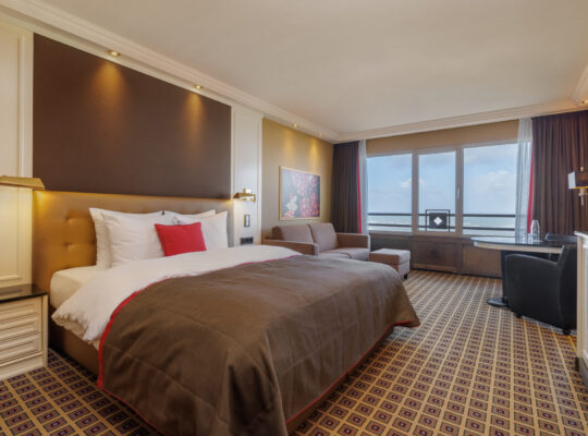 Charming Large Room