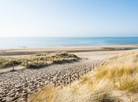 Beautiful walking routes through Hollands Duin