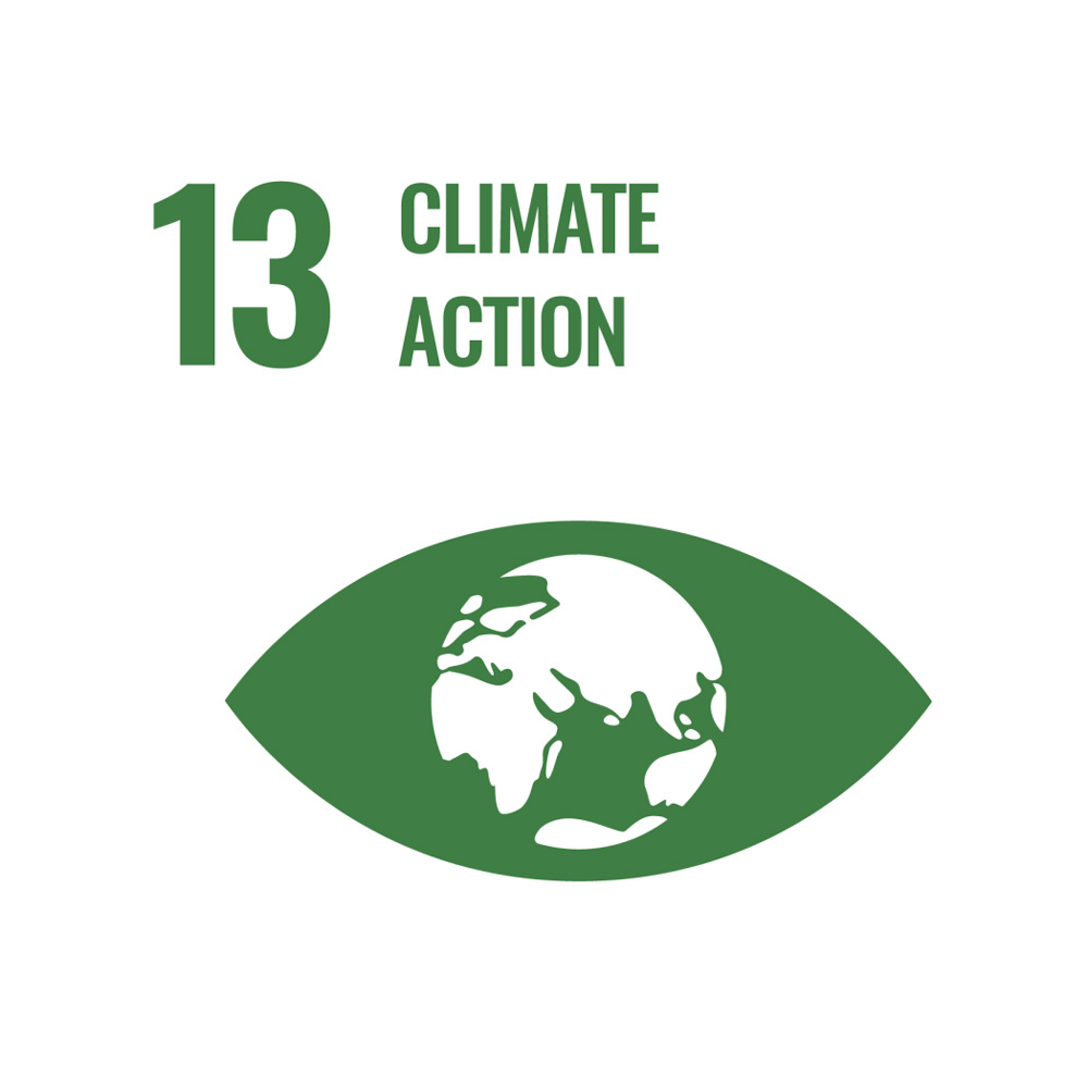 13. Climate action