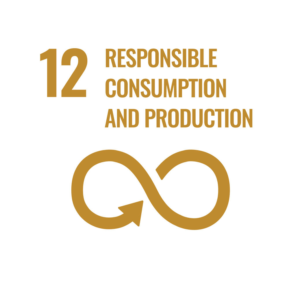 12. Verantwoorde consumptie en productie