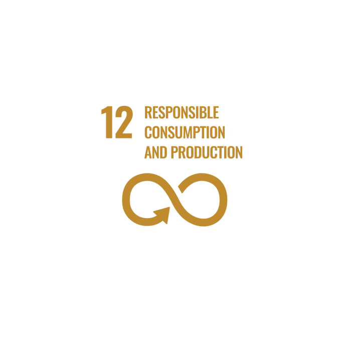 12. Responsible consumption and production