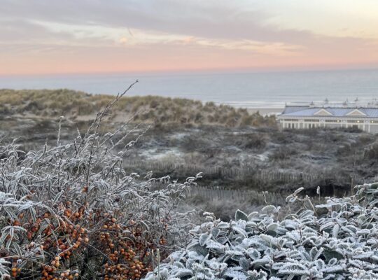 Uitwaaien aan Zee